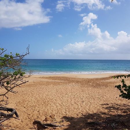 L'Aurielle, Tout le confort à 500m de la plage Sainte-Rose Esterno foto
